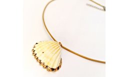Muschel Seashell Kette Anhänger Natur Gold Verstellbar IMG_20210318_182322