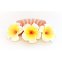 Blumenkamm Frangipani Weiss Gelb Blüten Haarkamm Steckkamm Hawaii IMG_20210325_232503