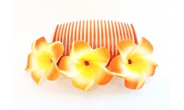 Blumenkamm Frangipani Orange Gelb Blüten Haarkamm Steckkamm Hawaii IMG_20210325_232520