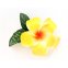 Haarklemme Frangipani Gelb Orange Blüte Spange Headpiece Hawaii IMG_20210325_231104